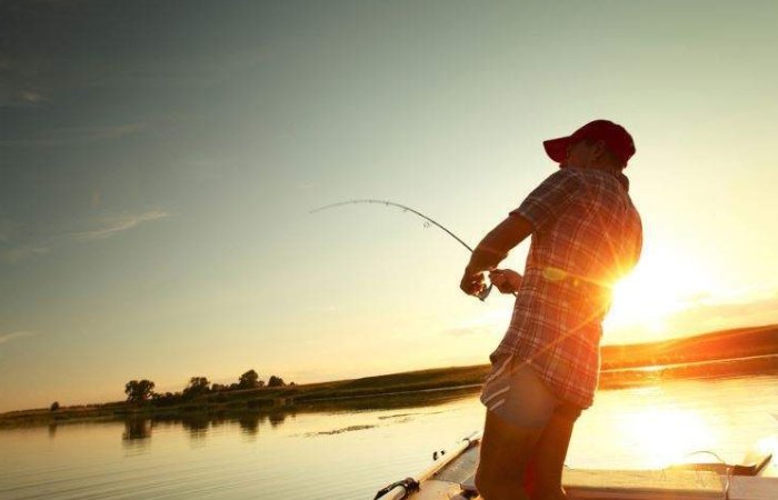 Giải mã giấc mộng nhìn thấy đi câu cá