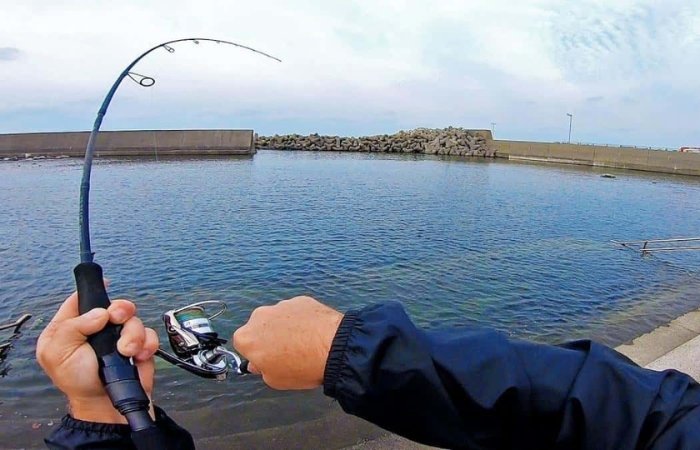 Mơ người khác đi câu cá