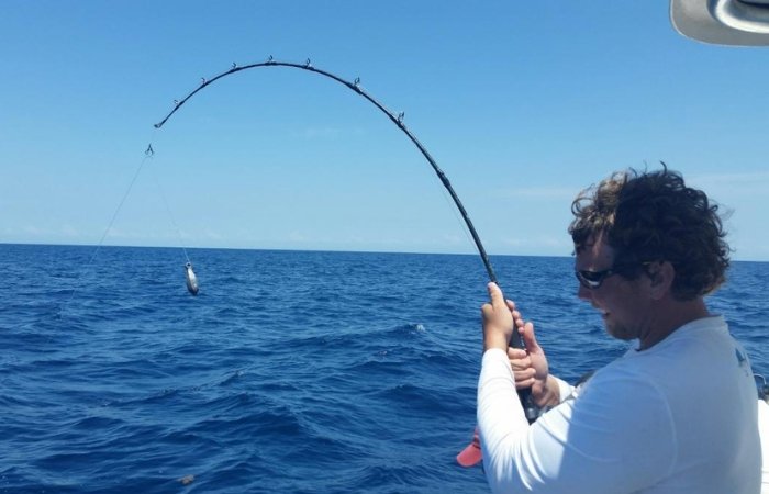 Mơ đi câu cá đánh lô đề số mấy?